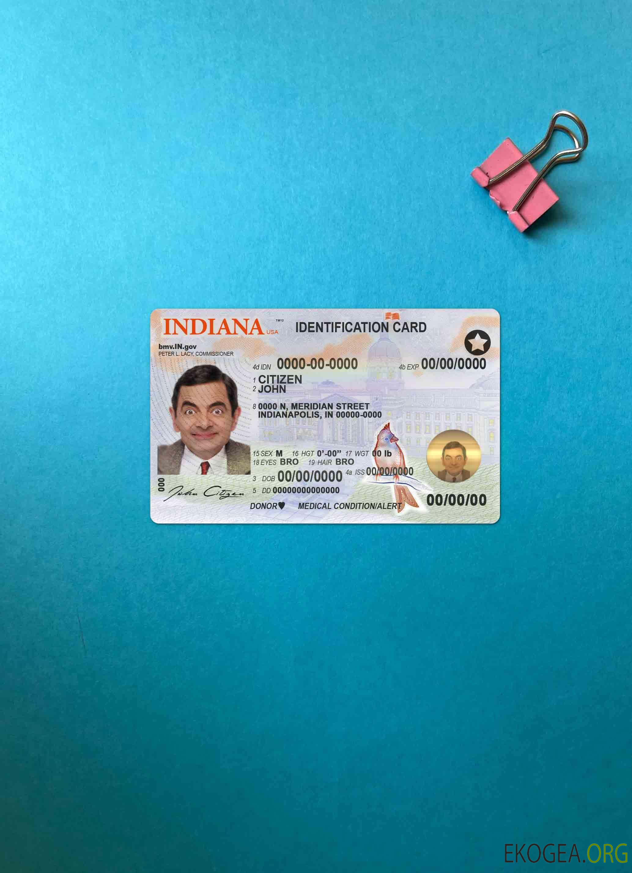 USA Indiana ID Card photolook AVANT